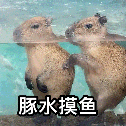 zhs-vip-单属性测试品-Elite 200 V2（测试）